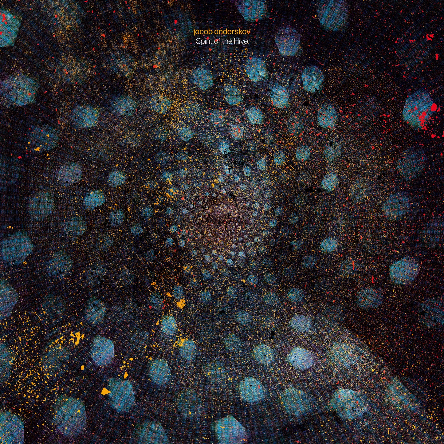 Jacob Anderskov: Spirit of the Hive