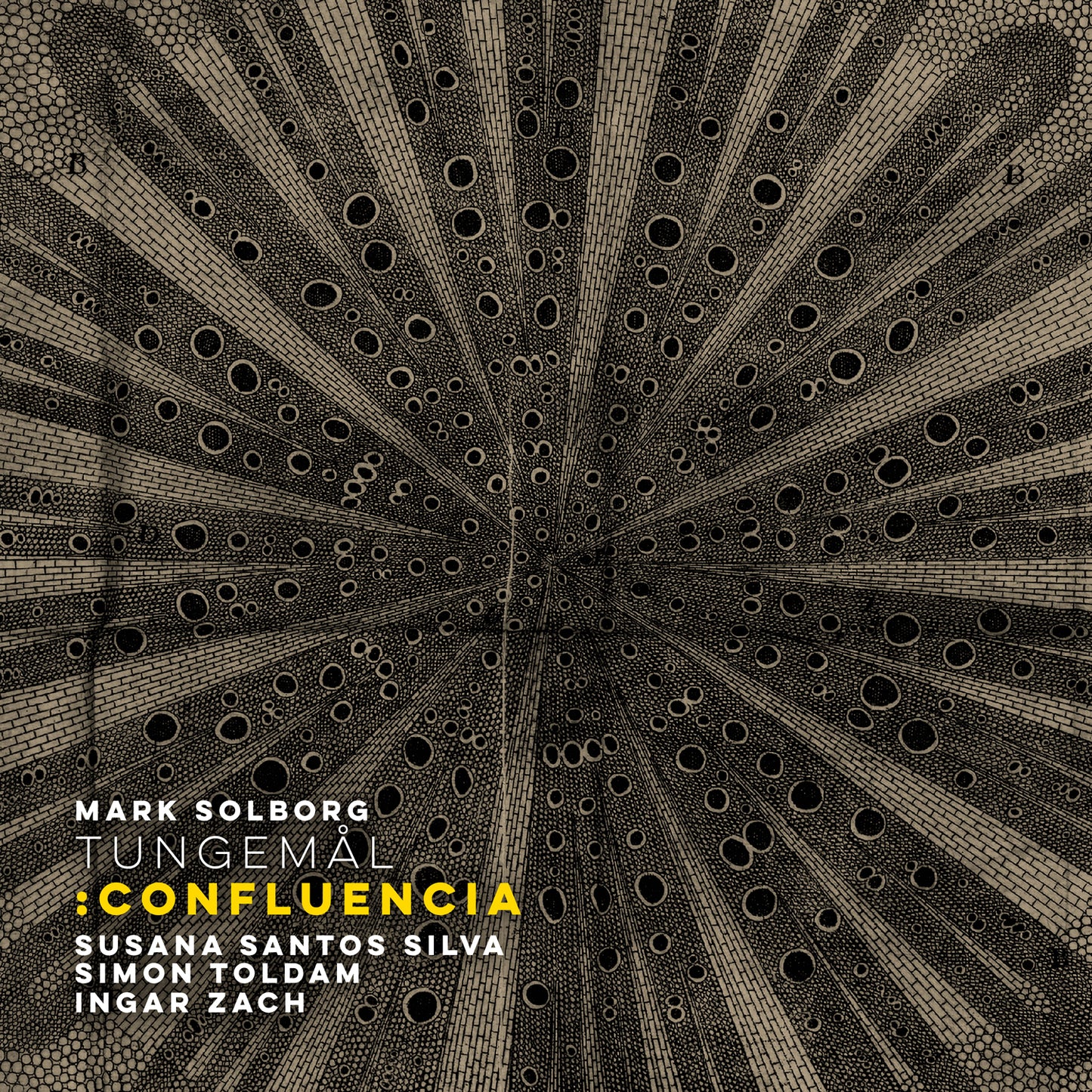 Mark Solborg TUNGEMÅL : Confluencia