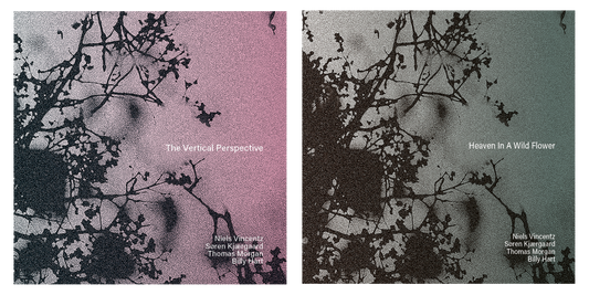 The Vertical Perspective & Heaven In A Wild Flower (2CD Bundle)
